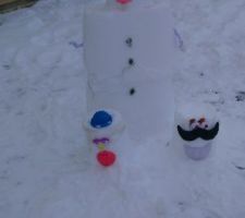 Neige 2021