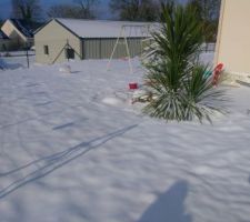 Neige 2021