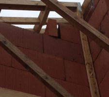 Tuile tombant se d&eacute;solidarisant de la construction