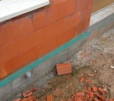 Tuile tombant toute seule du toit/propret&eacute; de la construction