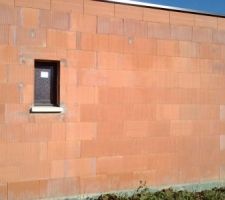 Nombreux trous dans les murs