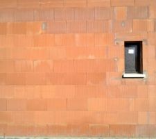 Nombreux trous dans les murs