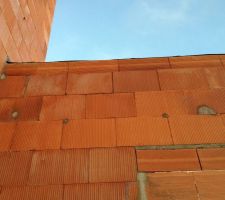 Que de trous et quelle plan&eacute;it&eacute; dans la couverture