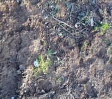 Des ouvriers &eacute;coresponsables et aussi propres que des gosses de 5 ans