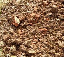 Des ouvriers &eacute;coresponsables et aussi propres que des gosses de 5 ans