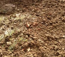 Des ouvriers &eacute;coresponsables et aussi propres que des gosses de 5 ans