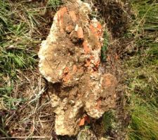 Des ouvriers &eacute;coresponsables et aussi propres que des gosses de 5 ans