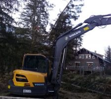 Coupe des arbres en cours