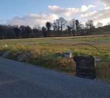 Terrain sous un &eacute;clairci