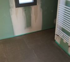 La chappe liquide (salle de bain de la suite parentale)