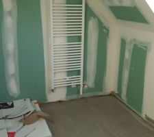 La chappe liquide (Salle de bain)