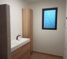 Meuble de salle de bain et colonne posée