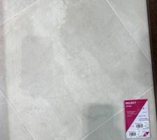 Carrelage sol de la salle de bain!