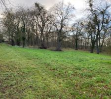 D&eacute;couverte du terrain en janvier 2020, vue depuis la fa&ccedil;ade "rue"