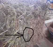 La ficelle : effiloch&eacute;e, mais pas coup&eacute;e, ouf !