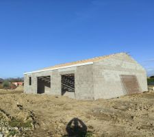 Premières photos de la charpente posée
