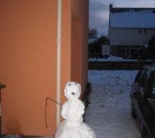 Sous la neige1