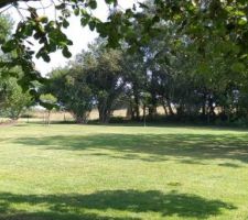 Remise en état du terrain (partie non constructible) après plus de 10 ans laissé en friche (élagage, dessouchage, déchetterie, retournement de terre, engazonnement, plantations,...)