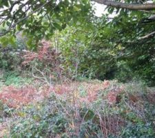 Septembre 2019 / Visite du terrain avant achat