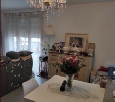 SALLE DE VIE ,bouquet et meubles de famille