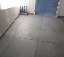 Cellier (Grès cérame Arte One Béton évolution gris moyen 60 x 60 cm)