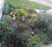 La jardinière du bureau ses fleurs  pour le plaisir des yeux