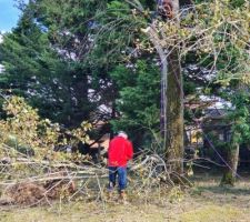 Nettoyage du terrain en octobre 2020