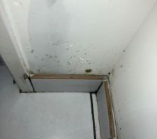 Finition carrelage