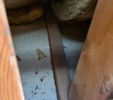 Photo intérieur comble derrière frisette