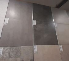Divers coloris de gris.