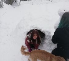Igloo 1 personne/1 chien