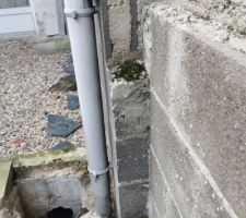 Déport droit 2