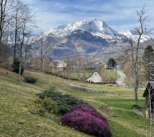 La vue du terrain qui va accueillir les maisons relais. En cours de nettoyage et d'élagage.