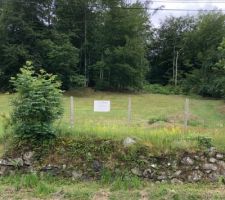 A une centaine de m&egrave;tres de chez moi, un terrain &agrave; vendre... depuis 2 ans!