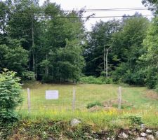 Terrain bois&eacute;, &agrave; l'ombre, sans vue.