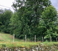 Le terrain est entour&eacute; d'arbres, mais n'offre pas de vue sur les montagnes aux alentours.