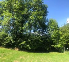 La vue est bouch&eacute;e.