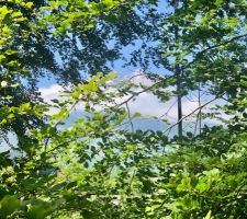 Mais... on peut apercevoir les Gabizos &agrave; travers les arbres, l'embl&egrave;me du Val d'Azun.