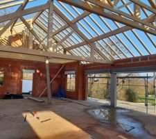 Charpente traditionnelle dans le salon pour un plafond cathédrale