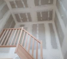 Les plaquistes : on ne peut pas faire de reproche sur leur travail. Le plafond en hauteur était difficile à réaliser.

C'est bien dommage que de la moisissure est fait son apparition. Aucune communication du CDT à ce sujet. Il doit trouver ça normal...