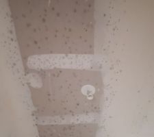 Moisissures : plafond WC