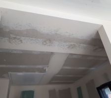 Moisissures : plafond dressing