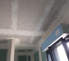 Moisissures : salle de bain c&ocirc;t&eacute; douche &agrave; l'italienne