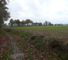 Sentier autour du lotissement