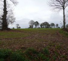 Sentier autour du lotissement (2)