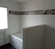 Faillent dans la salle de bain