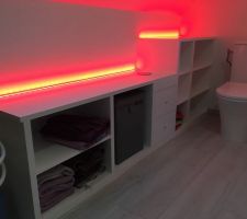 Finition dans Salle de bain