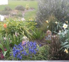 La jardinière du bureau ses fleurs ses décors ( la petite maison s'allume le soir venu)