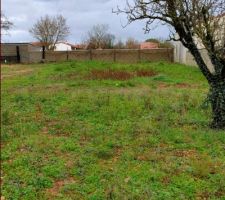 Terrain depuis le sud