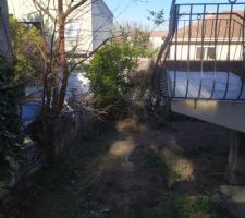 Arbre gênant le passage